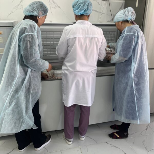 WhatsApp Image 2024-09-06 at 16.51.35